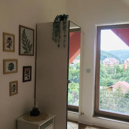 Hello Mountains Apartament Sinaia