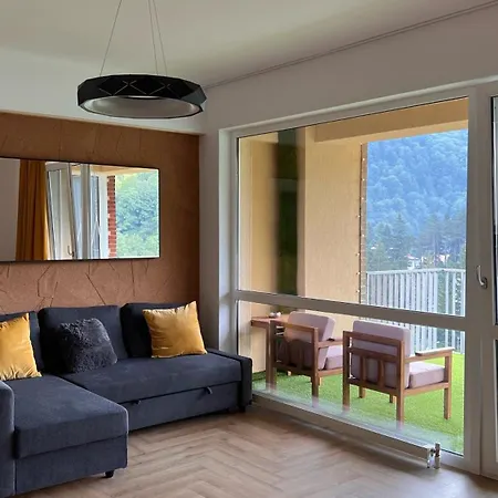 Hello Mountains Apartament Sinaia